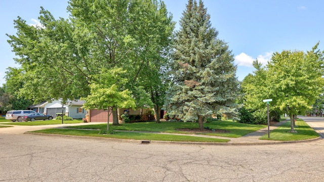 obstructed view of property featuring a front yard