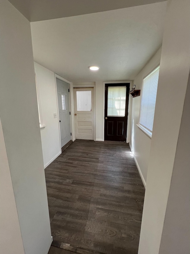 foyer featuring dark hardwood / wood-style floors