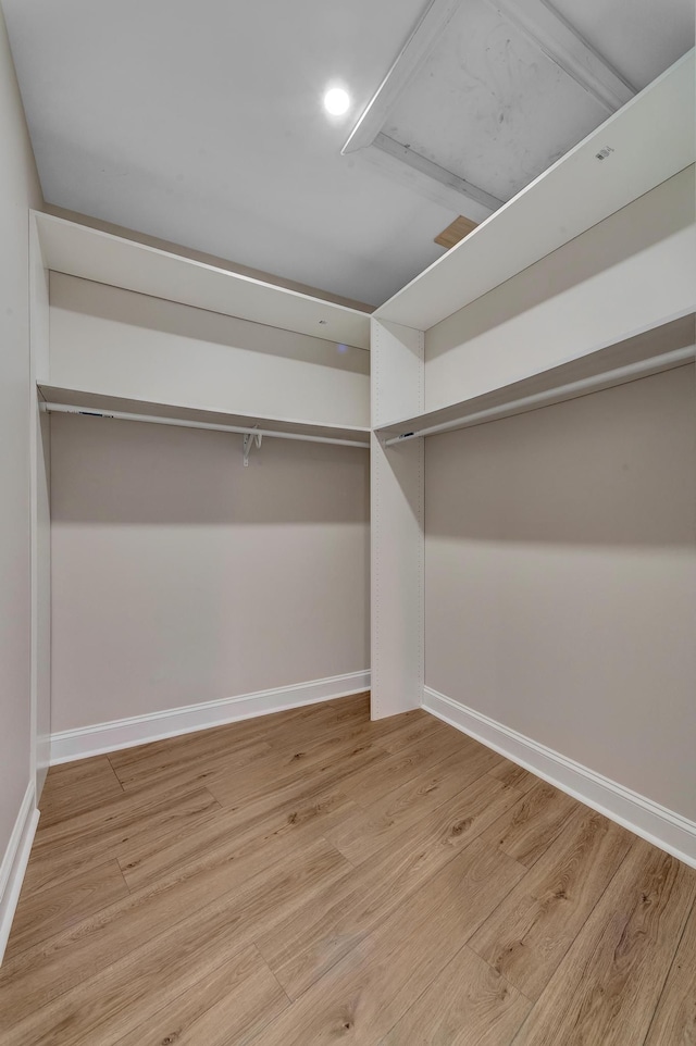 spacious closet featuring light wood-type flooring