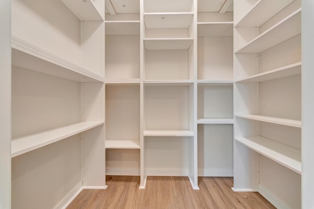 walk in closet with hardwood / wood-style flooring