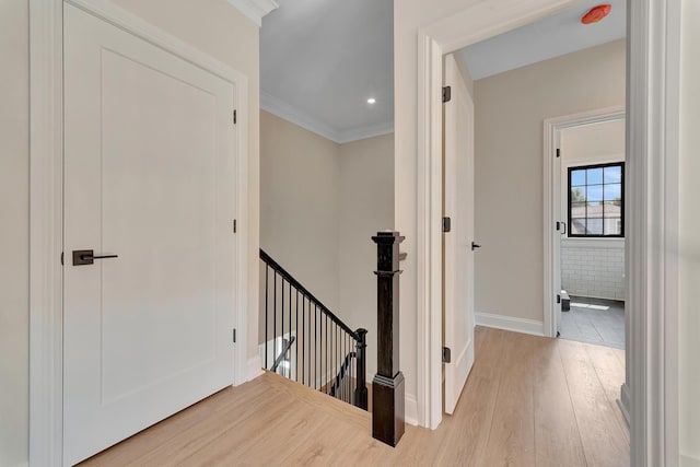 corridor featuring light hardwood / wood-style floors and ornamental molding