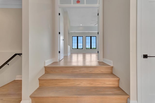 stairs with wood-type flooring