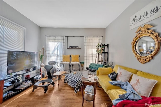 living room with wood-type flooring