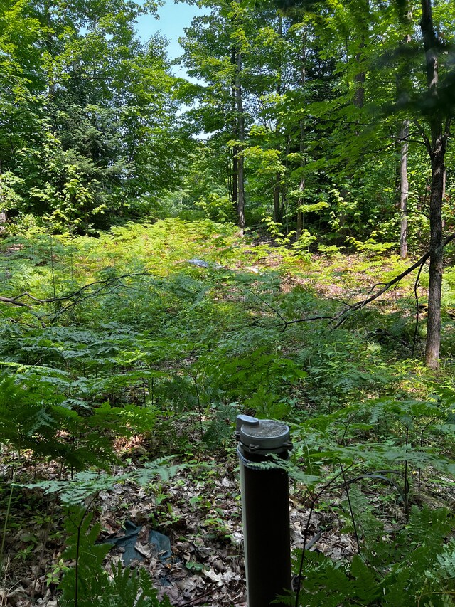 154 Neejee Rd, Negaunee, MI 49866