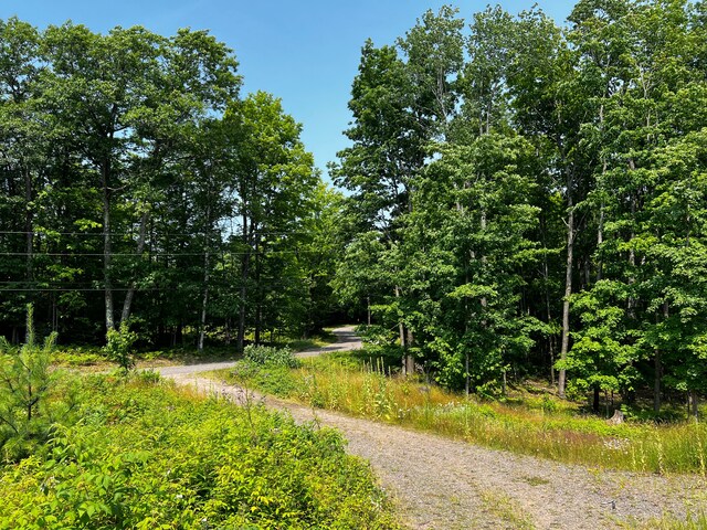 154 Neejee Rd, Negaunee, MI 49866