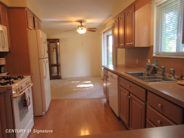 kitchen featuring white appliances, light hardwood / wood-style floors, ceiling fan, and sink