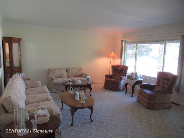 living room with carpet floors