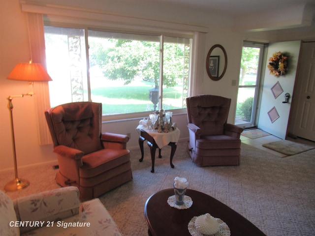 living room featuring light carpet