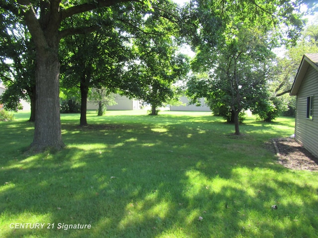 view of yard