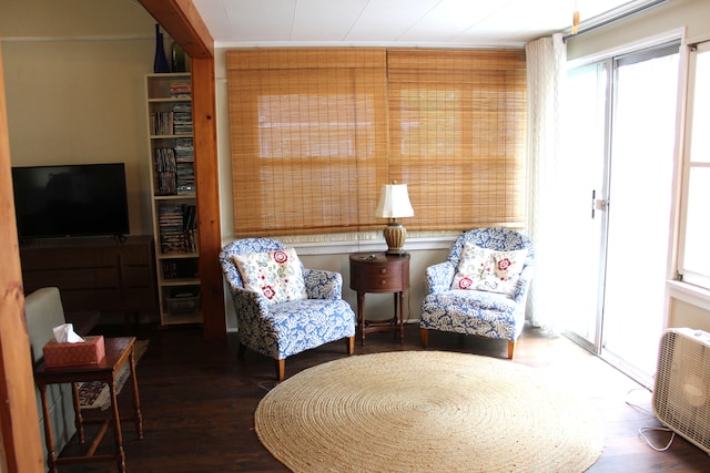 living area featuring dark wood-type flooring