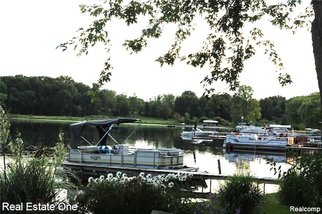 view of dock featuring a water view