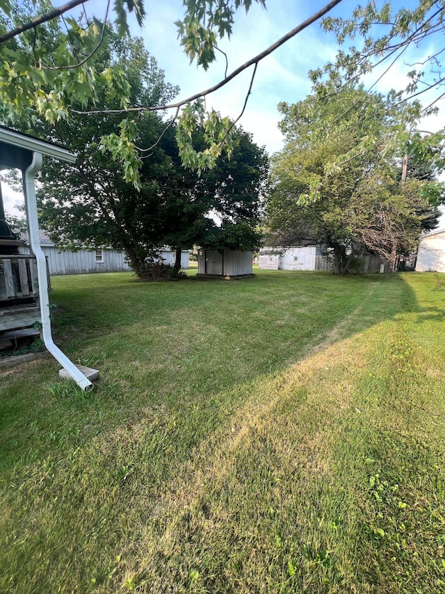 view of yard featuring a shed