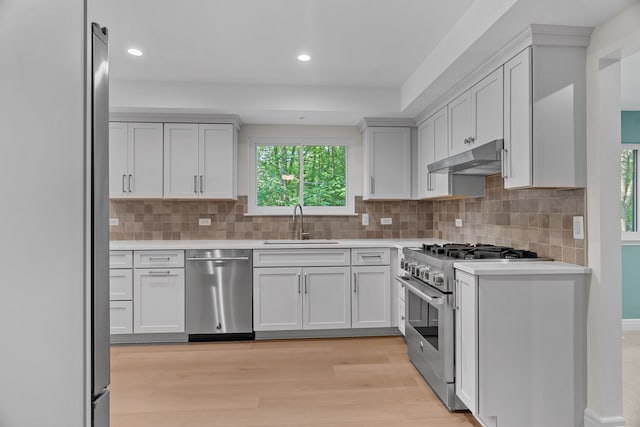 kitchen featuring a wealth of natural light, light wood-type flooring, sink, and appliances with stainless steel finishes