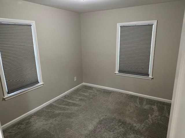 unfurnished room featuring carpet floors