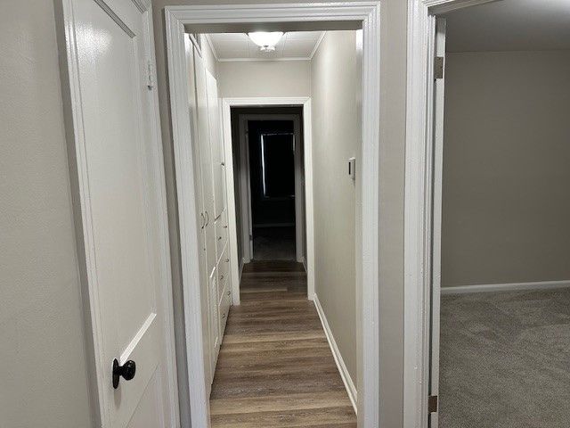 hallway with wood-type flooring and ornamental molding