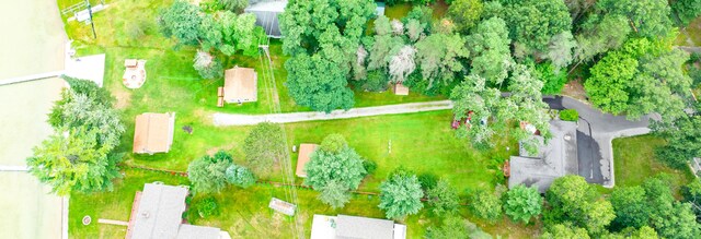 1130 W Higgins Lake Dr, Roscommon, MI 48653 - bird's eye view