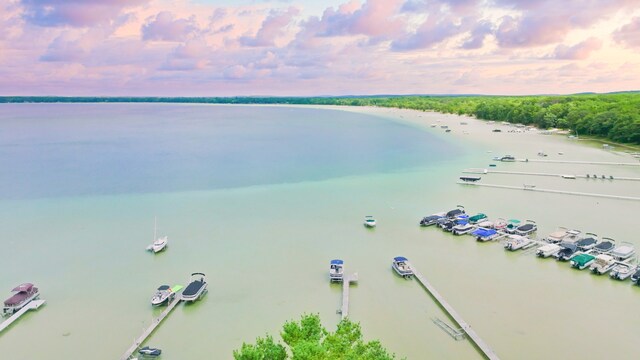 1130 W Higgins Lake Dr, Roscommon, MI 48653 - drone / aerial view of a large body of water