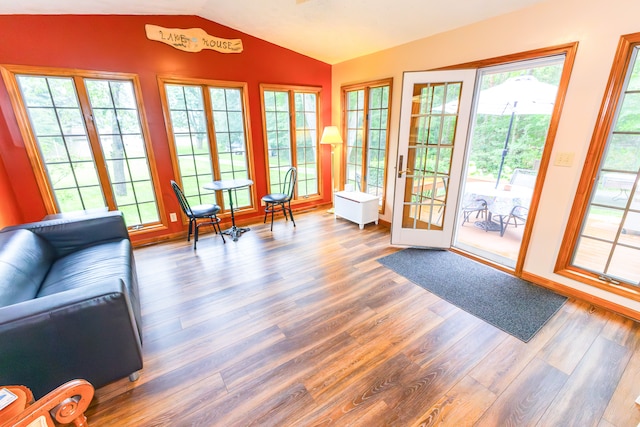 entryway with hardwood / wood-style flooring, a healthy amount of sunlight, and lofted ceiling