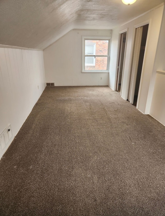 additional living space with a textured ceiling, carpet floors, and vaulted ceiling