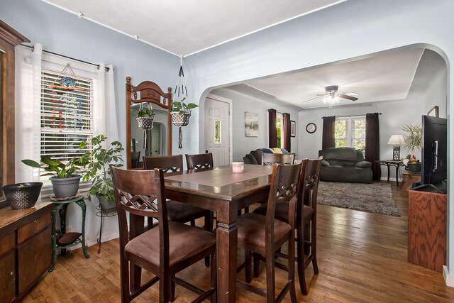 dining area featuring dark hardwood / wood-style floors and ceiling fan