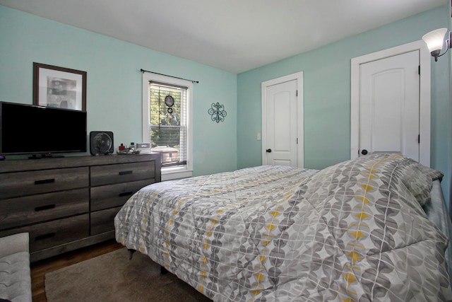 bedroom featuring dark wood-type flooring