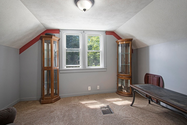 additional living space with carpet flooring, a textured ceiling, and vaulted ceiling