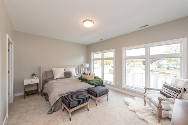 637 Woodland Dr, Dexter, MI 48130 - bedroom featuring baseboards and light colored carpet