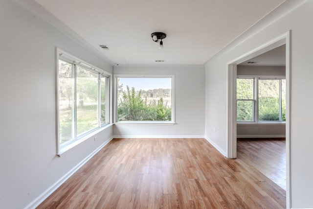 spare room featuring light wood-type flooring and a healthy amount of sunlight