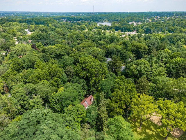 43550 Reservoir St, Plymouth, MI 48170 - aerial view of a heavily wooded area