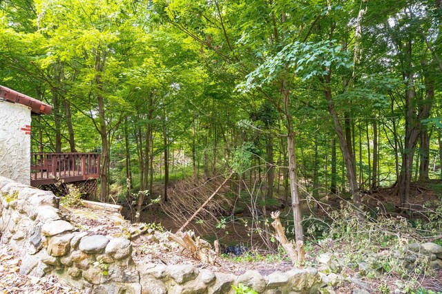 43550 Reservoir St, Plymouth, MI 48170 - view of wooded area