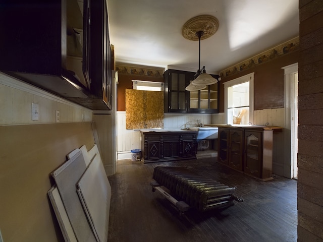 kitchen featuring pendant lighting, dark hardwood / wood-style floors, and dark brown cabinets