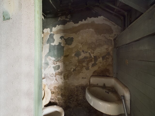 bathroom with toilet