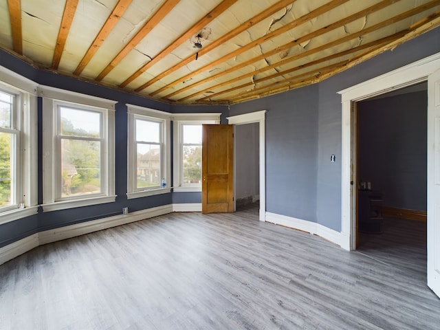 empty room with a wealth of natural light and wood-type flooring