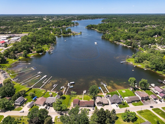 1794 S Hughes Rd, Brighton, MI 48114 - drone / aerial view of a large body of water