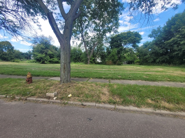3254 Canton St, Detroit, MI 48207 - photo 2