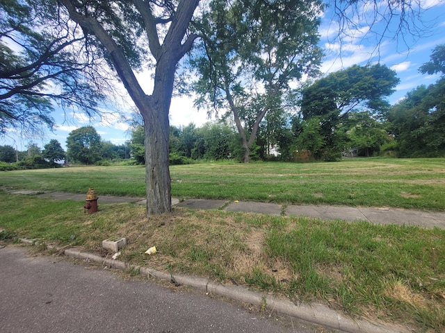 3254 Canton St, Detroit, MI 48207 - photo 3
