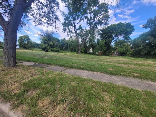 3254 Canton St, Detroit, MI 48207 - photo 4