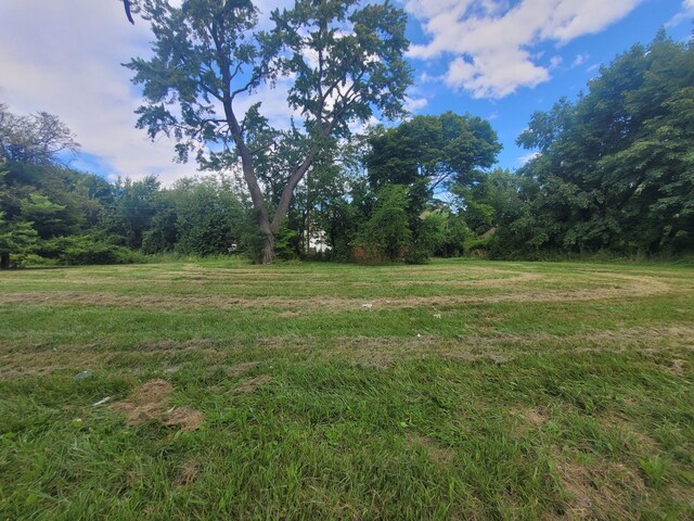 3254 Canton St, Detroit, MI 48207 - photo 5