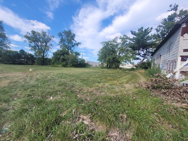 3424 Mount Elliott St, Detroit, MI 48207 - photo 1