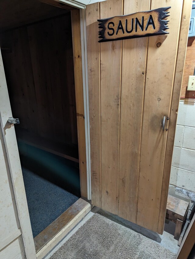42294 Willson Memorial Dr, Chassell, MI 49916 - detailed view of carpet flooring and wooden walls