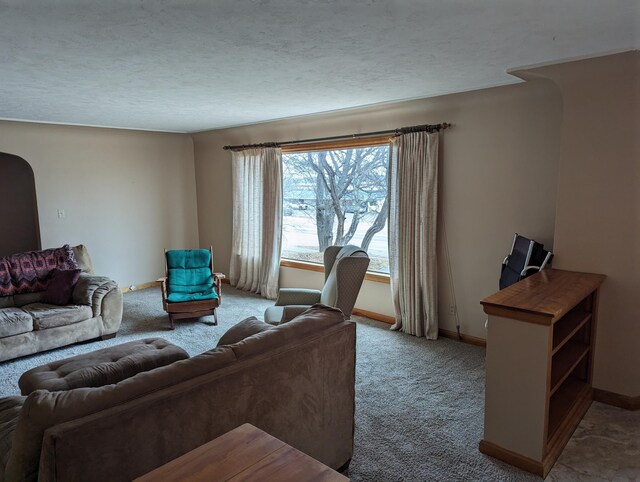 42294 Willson Memorial Dr, Chassell, MI 49916 - living area with light carpet, baseboards, and arched walkways