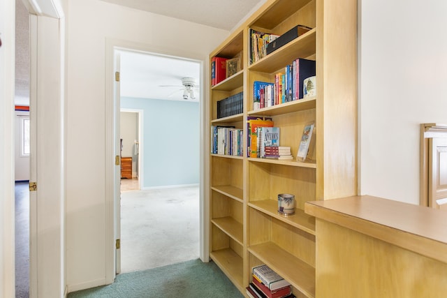 hallway featuring carpet flooring