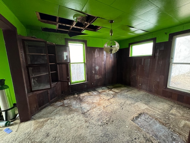 spare room with carpet floors, wooden walls, and a healthy amount of sunlight