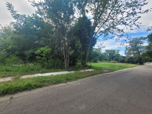 3443 Beals St, Detroit, MI 48214 - photo 2