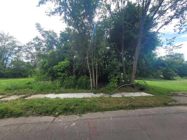 3443 Beals St, Detroit, MI 48214 - photo 3