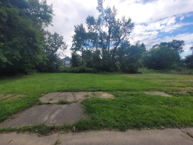 3443 Beals St, Detroit, MI 48214 - photo 7