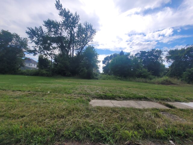 3443 Beals St, Detroit, MI 48214 - photo 9