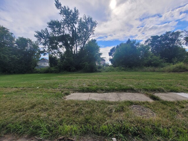 3443 Beals St, Detroit, MI 48214 - photo 10