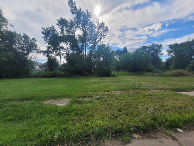 3443 Beals St, Detroit, MI 48214 - photo 8