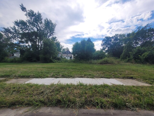 3443 Beals St, Detroit, MI 48214 - photo 11